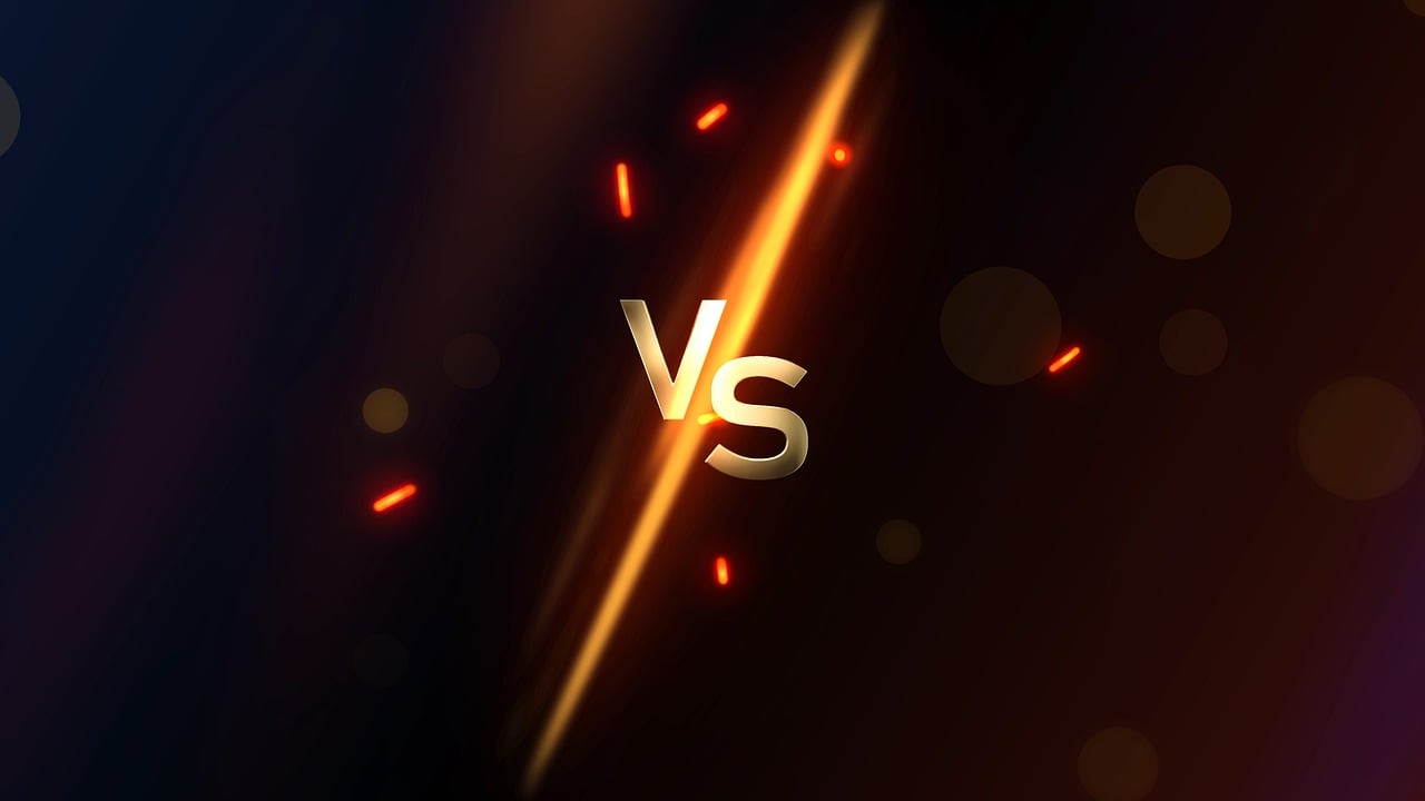 vs ( 라거 vs 에일)