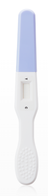 갱년기 테스트기란?