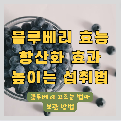 블루베리의 효능과 효과 및 항산화 효과 높이는 법 - 블루베리 고르는 법과 보관방법 그리고 부작용 썸네일