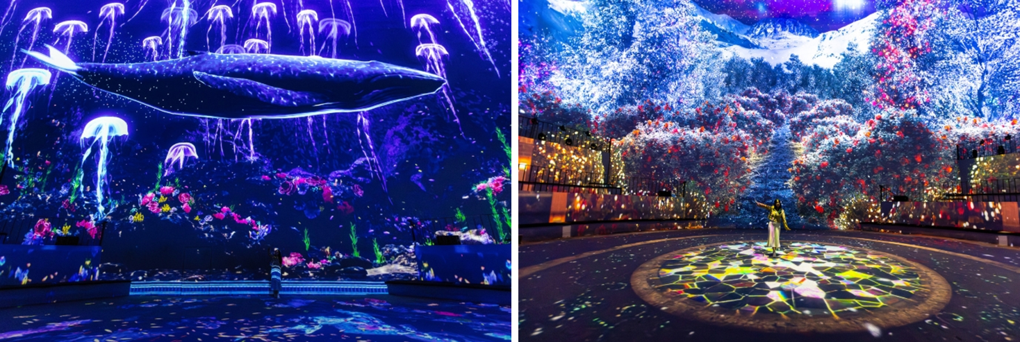 제주 노형수퍼마켙 이미지