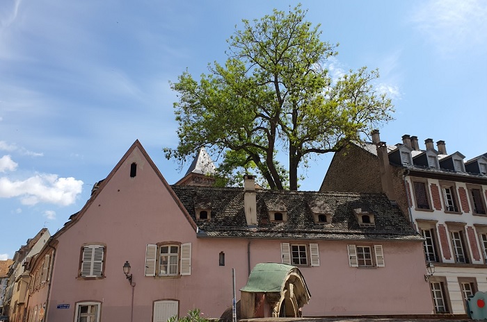 한국 개신교 교회의 오후예배, 도대체 몇 시에 드리나요?