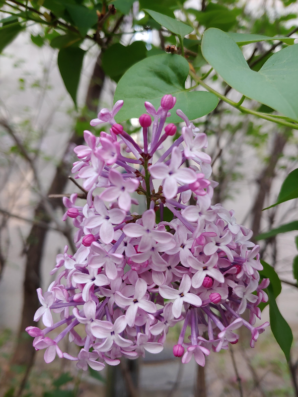 시선을 달리하다-늘-흥미-진진한-동네-산책