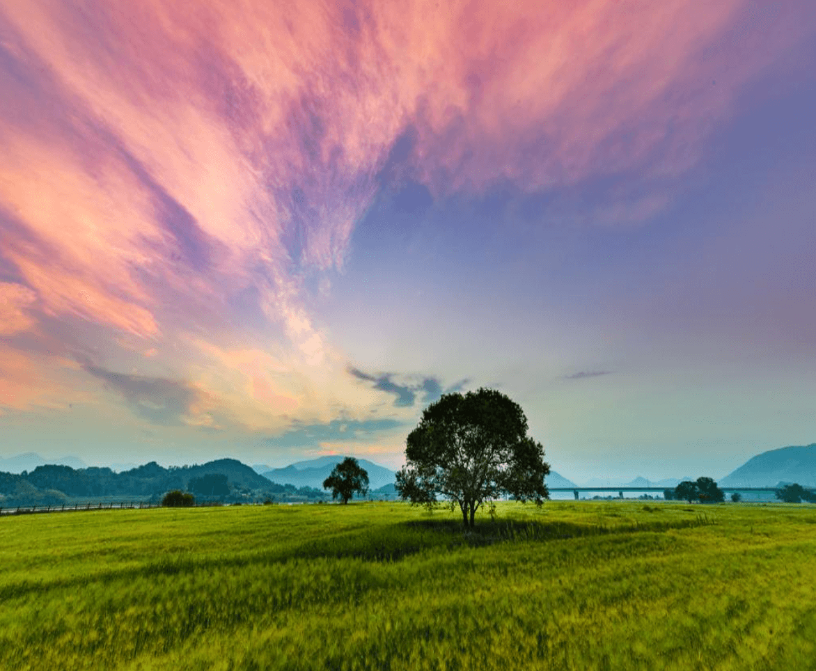 충북 디지털 관광주민증 발급 및 사용방법 혜택안내