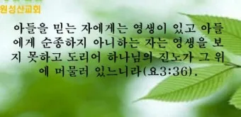 월례회 기도문 교회 대표 기도문_7