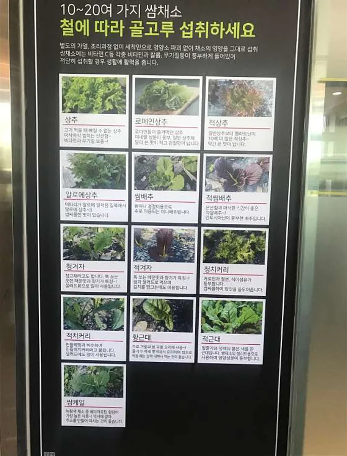 윤훈식농가쌈밥
