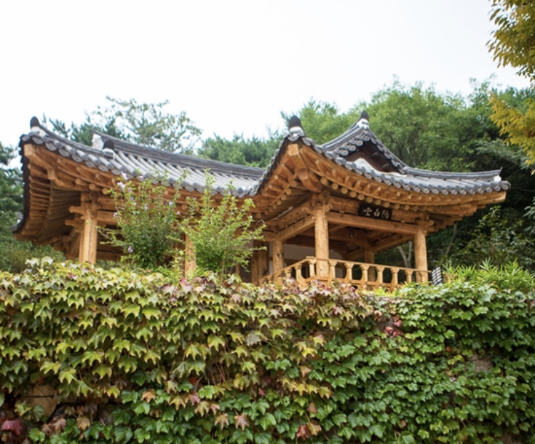 전남도립수목원 관람 가이드 ❘ 이용 정보&middot;계절별 볼거리&middot;추천 산책 코스 총정리