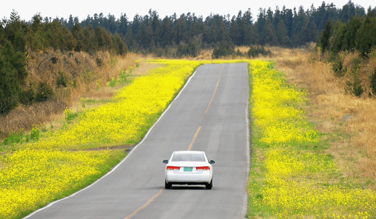 제주_렌트카_실시간예약_9