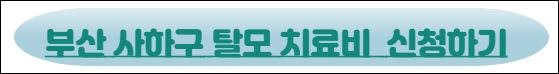 부산 사하구 탈모치료비 신청하기
