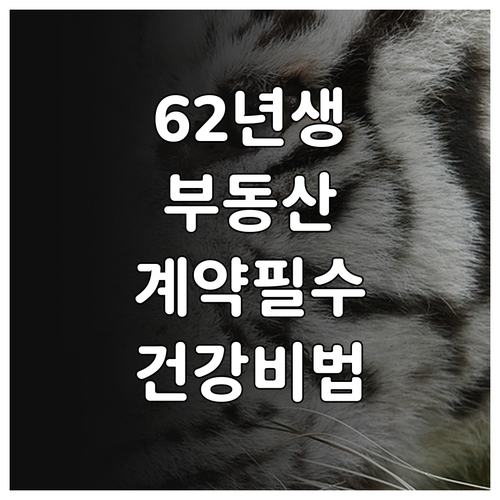 1962년생 호랑이띠 2월 부동산 계..