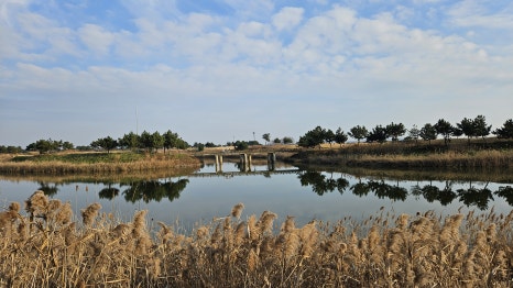 골프장 경험담 군산 군산cc 한국 골프 여행의 랜드마크 방대한 코스&amp;#44; 물을 적극 활용한 설계&amp;#44; 프로 대회급 코스