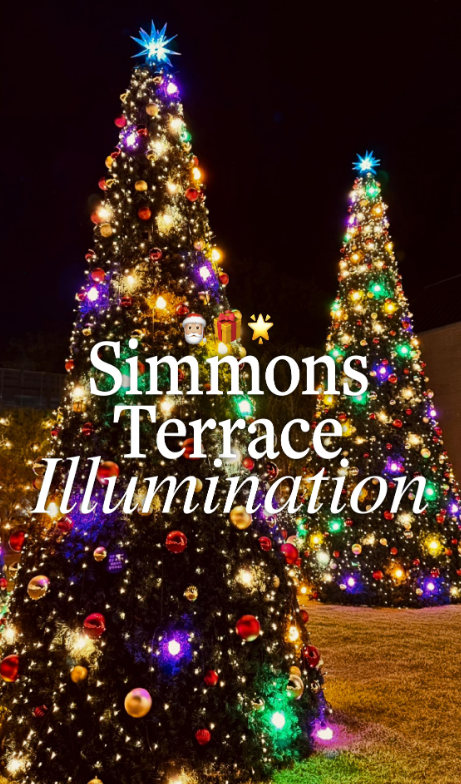 경기도 이천 시몬스 테라스 가볼만한 곳ㅣ크리스마스 트리∙카페 그로서리 스토어∙주차