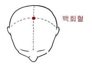 백회혈 (출처 : 중국인 건강관리법)