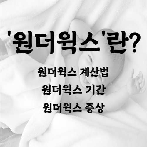 원더윅스
