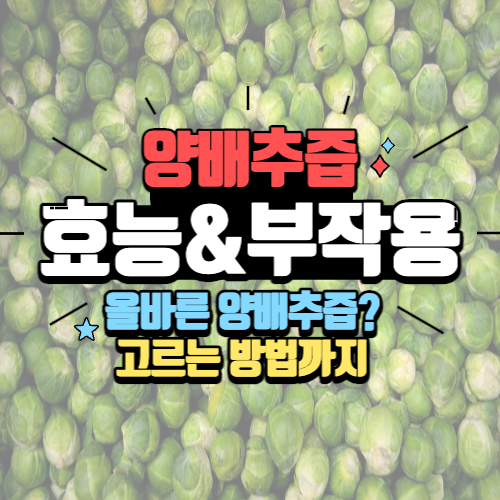 양배추즙