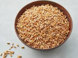 파로 곡물 효능 먹는 법 부작용 정리 ✅