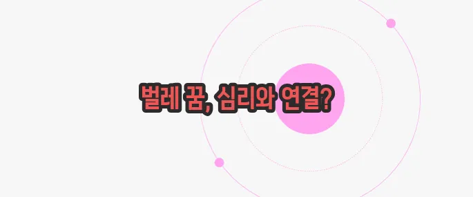 벌레 꿈해몽 한 번 정리해볼까요