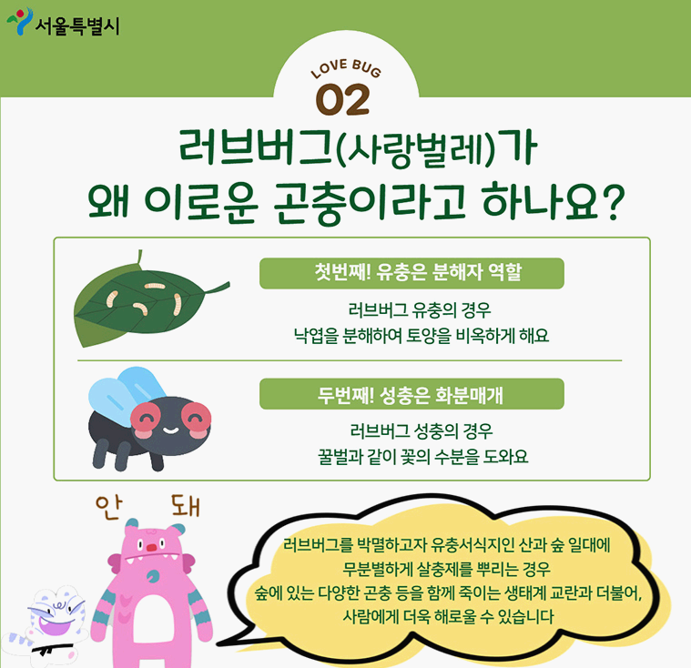 러브버그 설명문