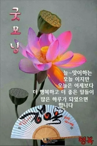 아침인사 이쁜글 다운로드_29