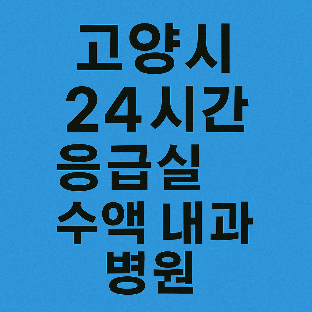 고양시 명절 24시간 응급실 수액 내과 병원