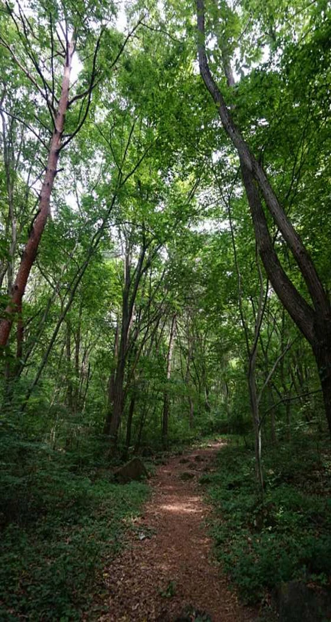 두타산