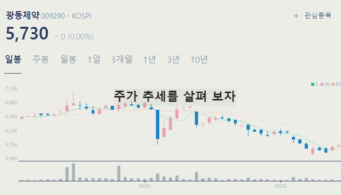 비만 치료제 관련주 대장주 TOP7 : GLP-1