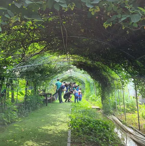 비틀즈자연학교