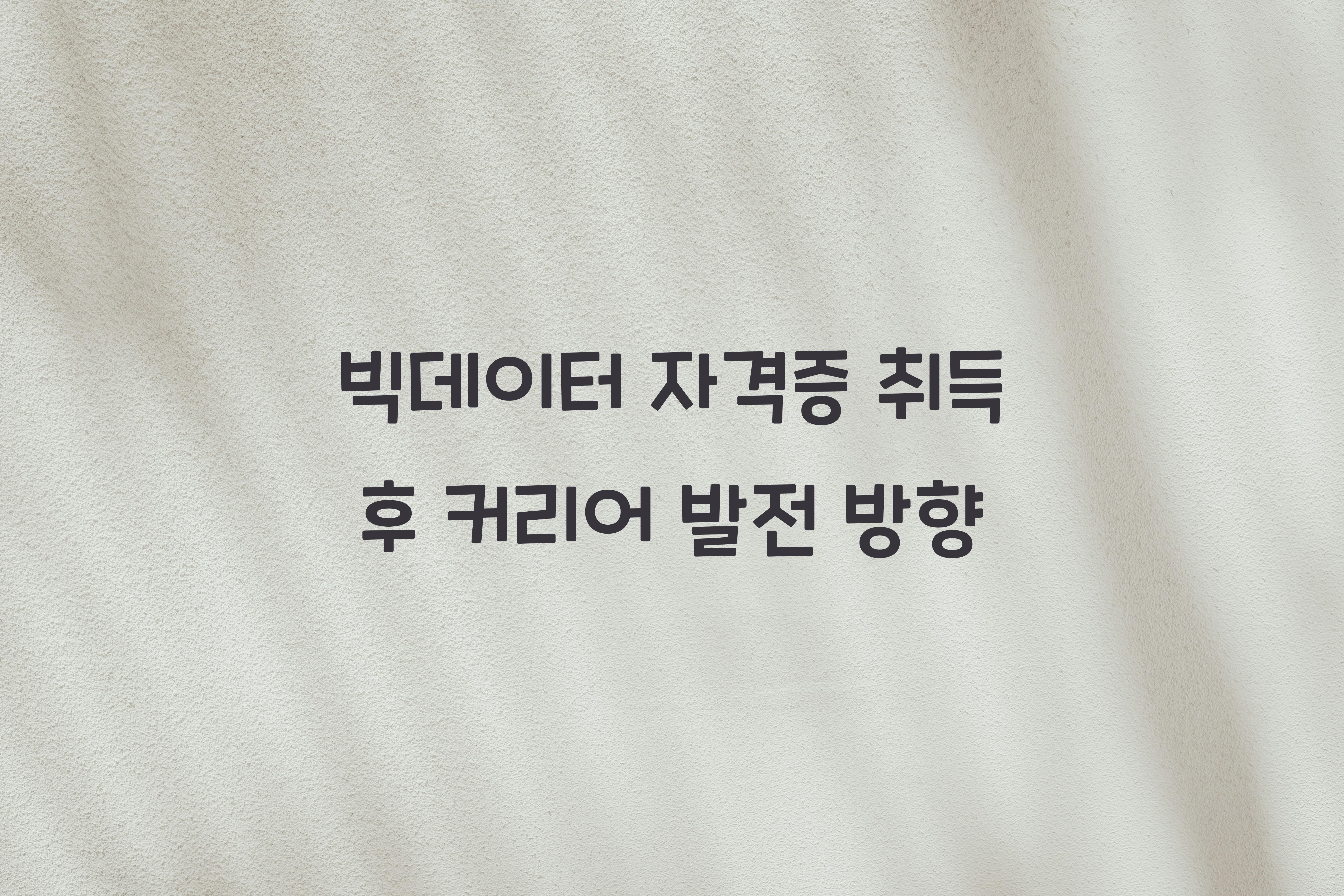 빅데이터 자격증