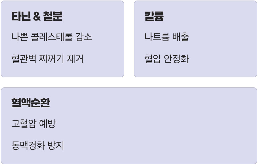 2. 혈관 속 찌꺼기를 씻어내는 청소부