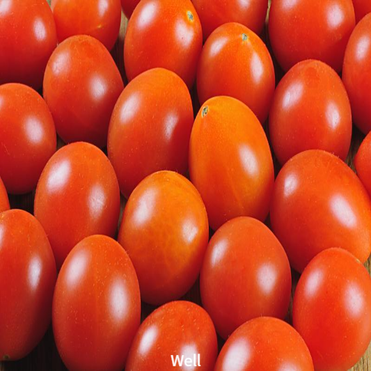 비염에 좋은음식