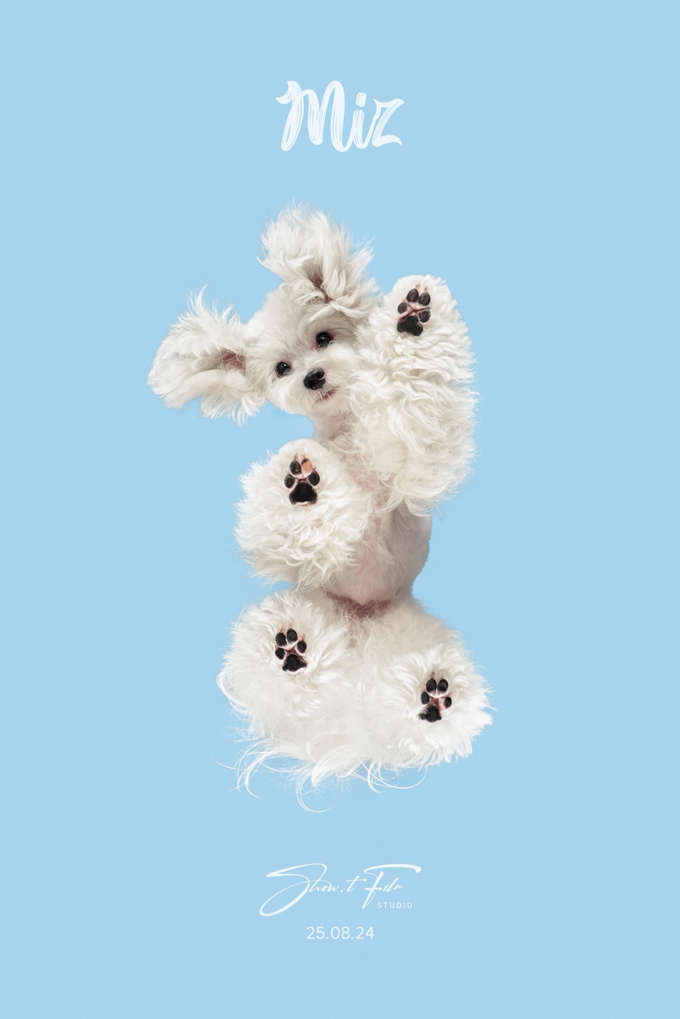 반려견 발바닥 사진 후기