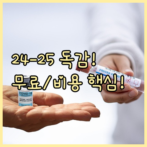 2024-2025 독감 백신 무료 접..