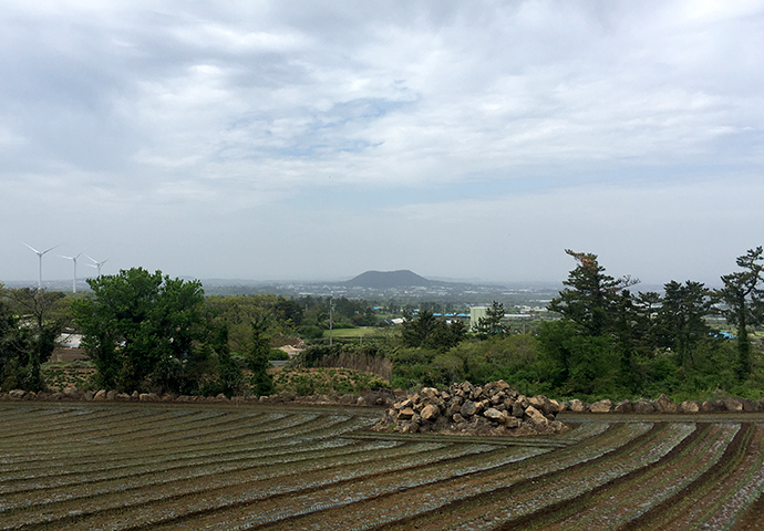 금오름-가는길6