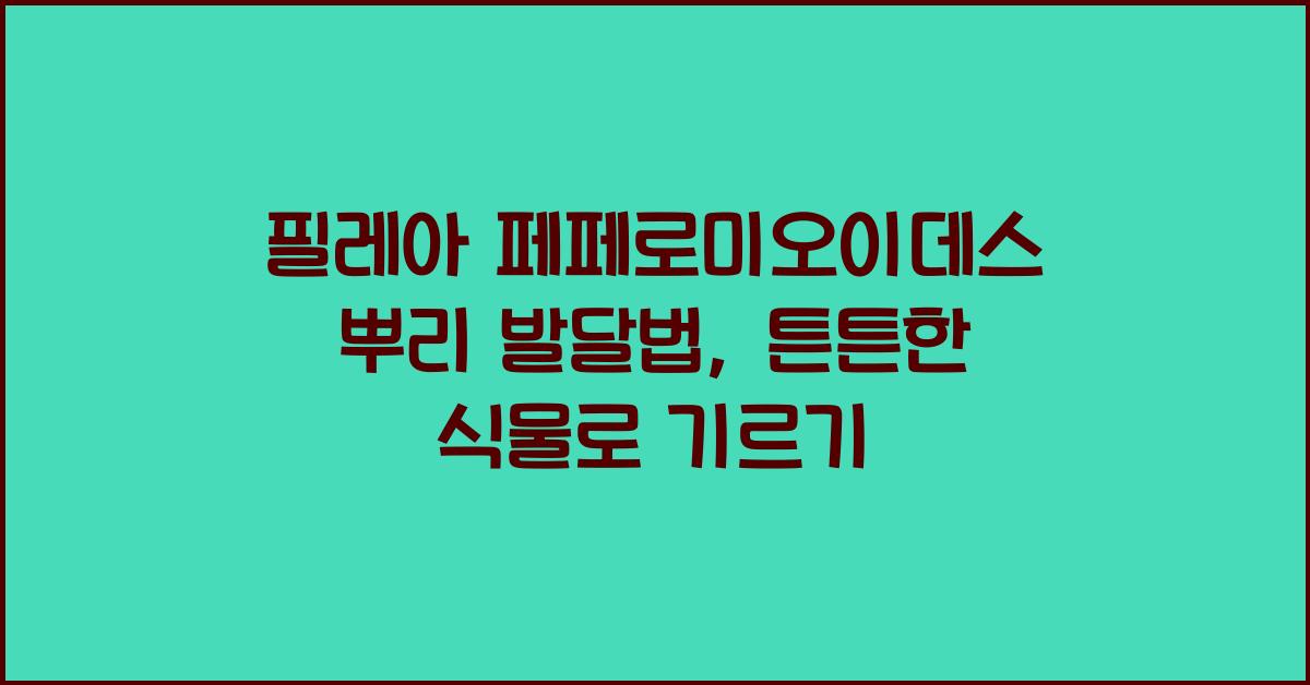필레아 페페로미오이데스 뿌리 발달법
