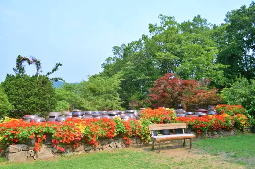 무(無)더위 여행! 이번 주 제철 농산물 체험 농촌 예술 테마 식물원 추천
