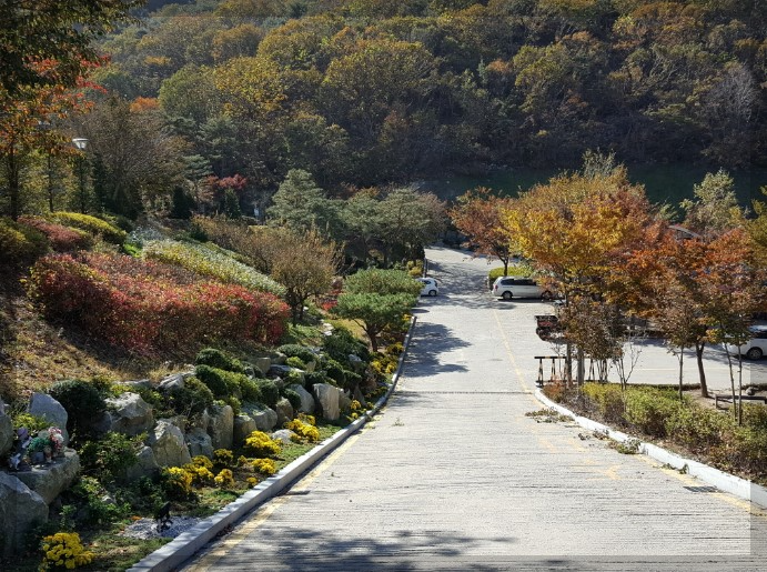 석모도 자연휴양림