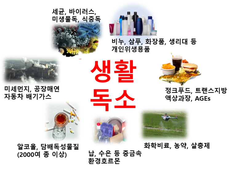 생활독소의 우리 몸 침투