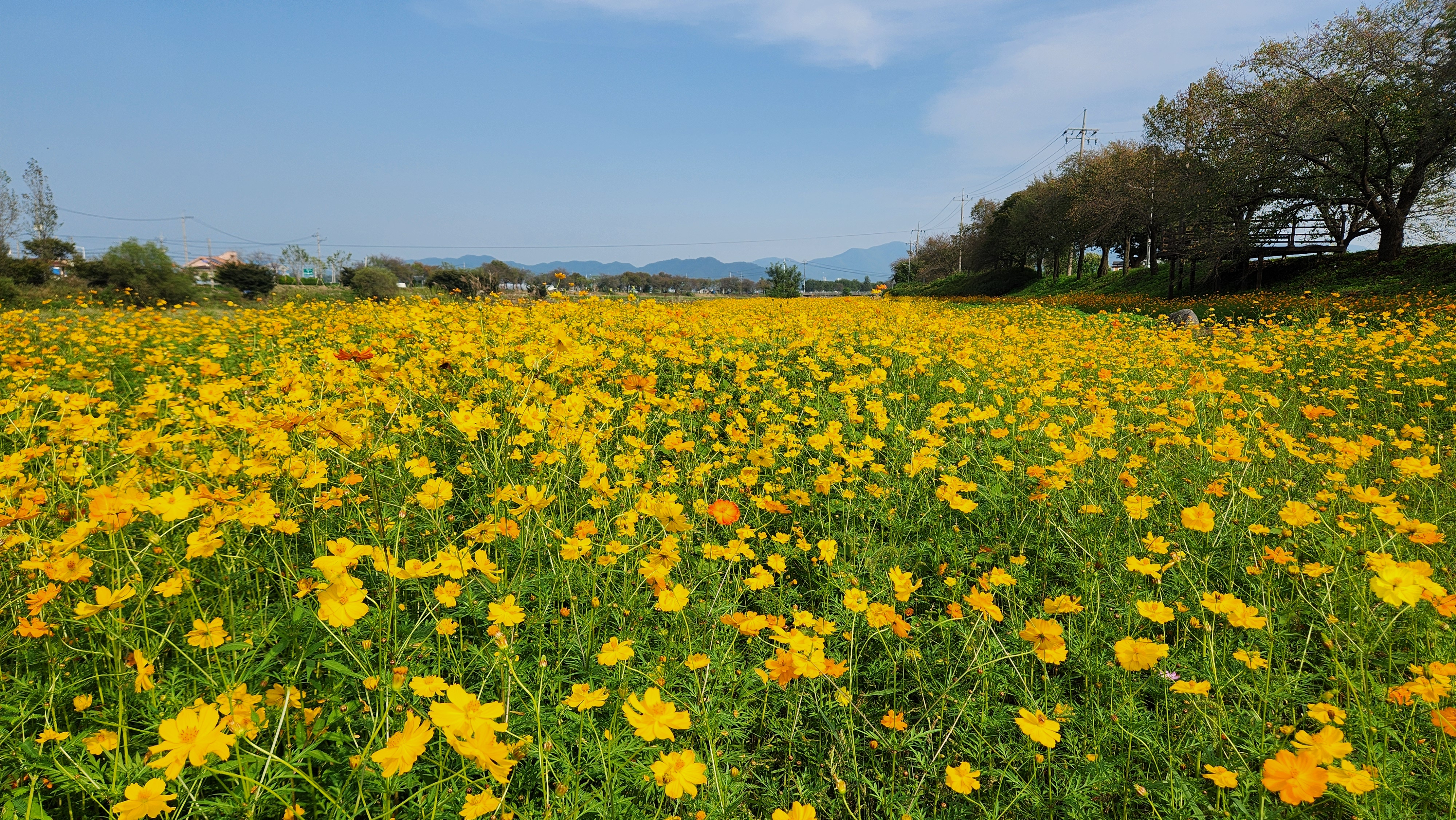 가을에 가볼만한곳 추천 ❘ 진천 감성 카페 뤁스퀘어 완벽 가이드