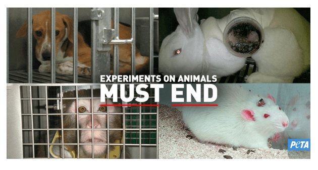 동물실험 안 하는 화장품