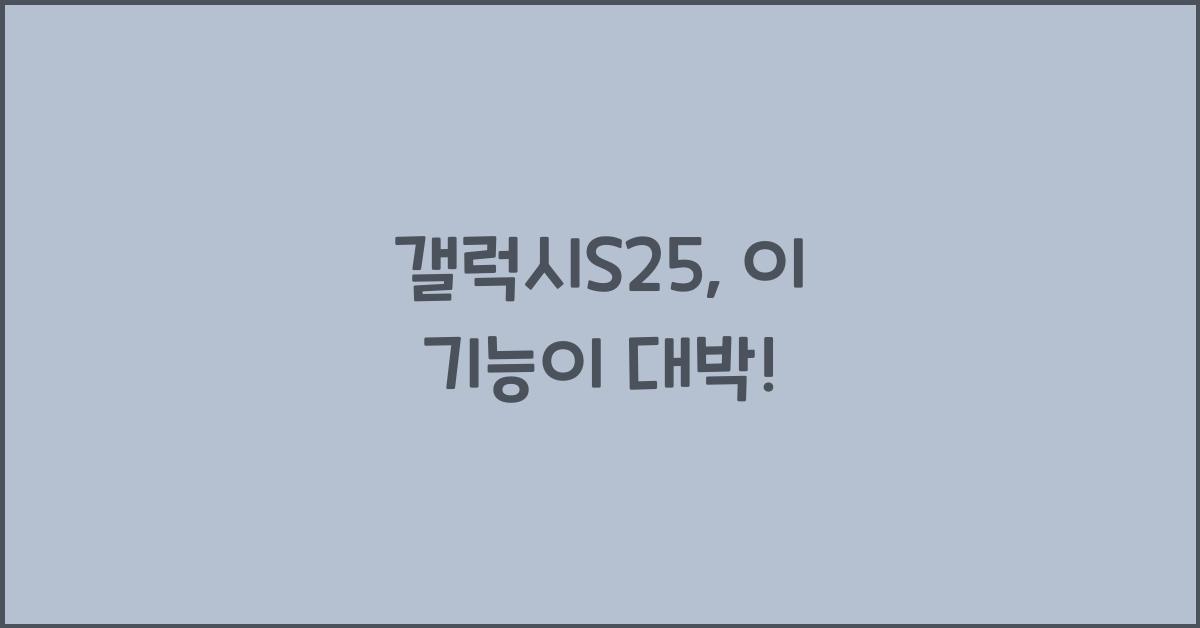 갤럭시S25