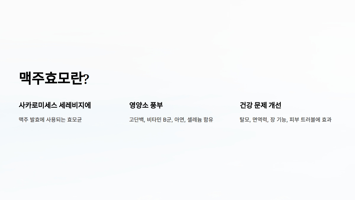 맥주효모 효능