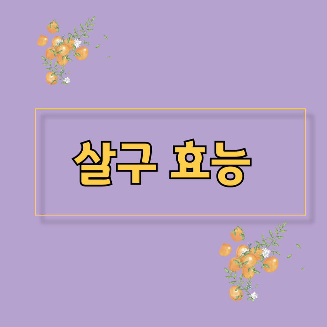 살구 효능