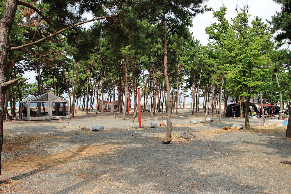 태안군 어은돌 송림캠핑장 소개