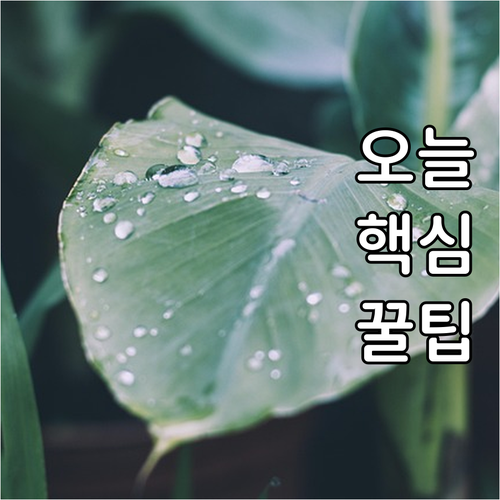 도시가스 전기요금, 현대카드로 놓치지..