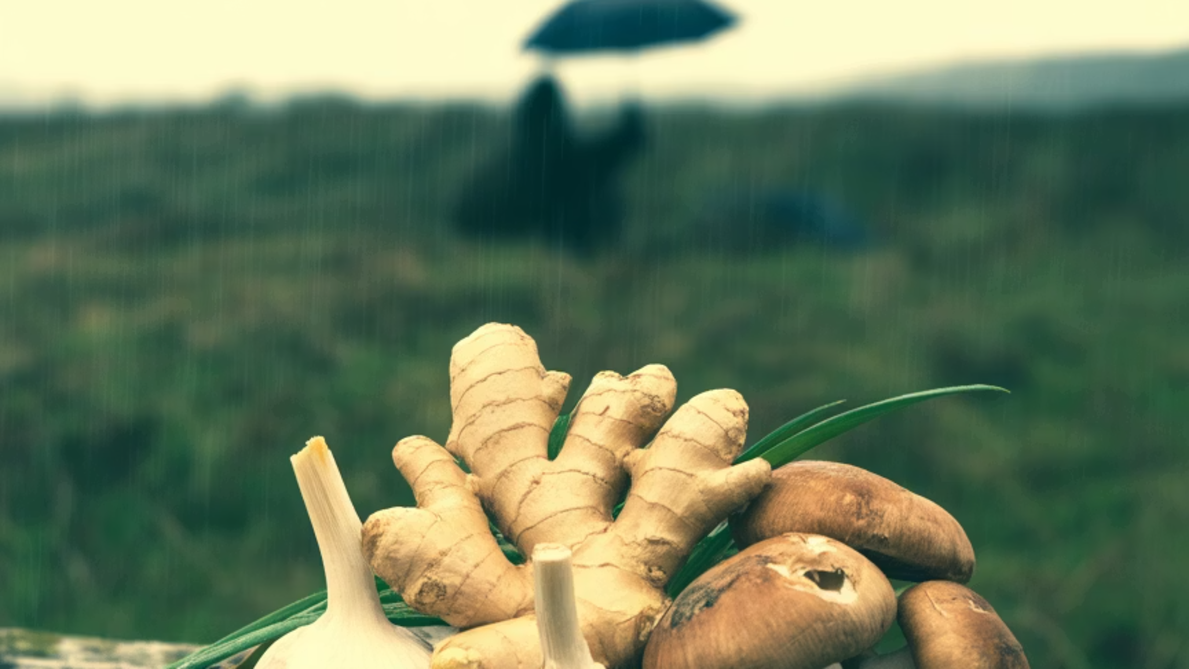 장마철, 왜 면역력 강화가 중요할까요