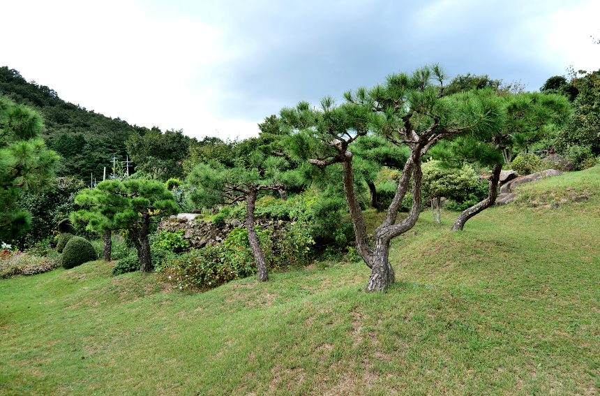 특색 있고 아름다운 민간 정원 30선 추천 여행 - 24. 통영 해솔찬정원