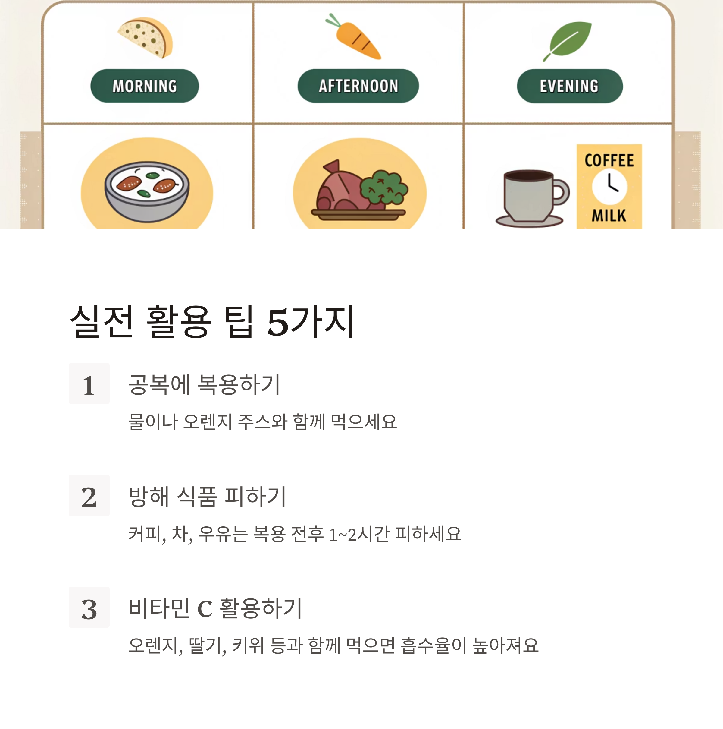 철분 보충제
