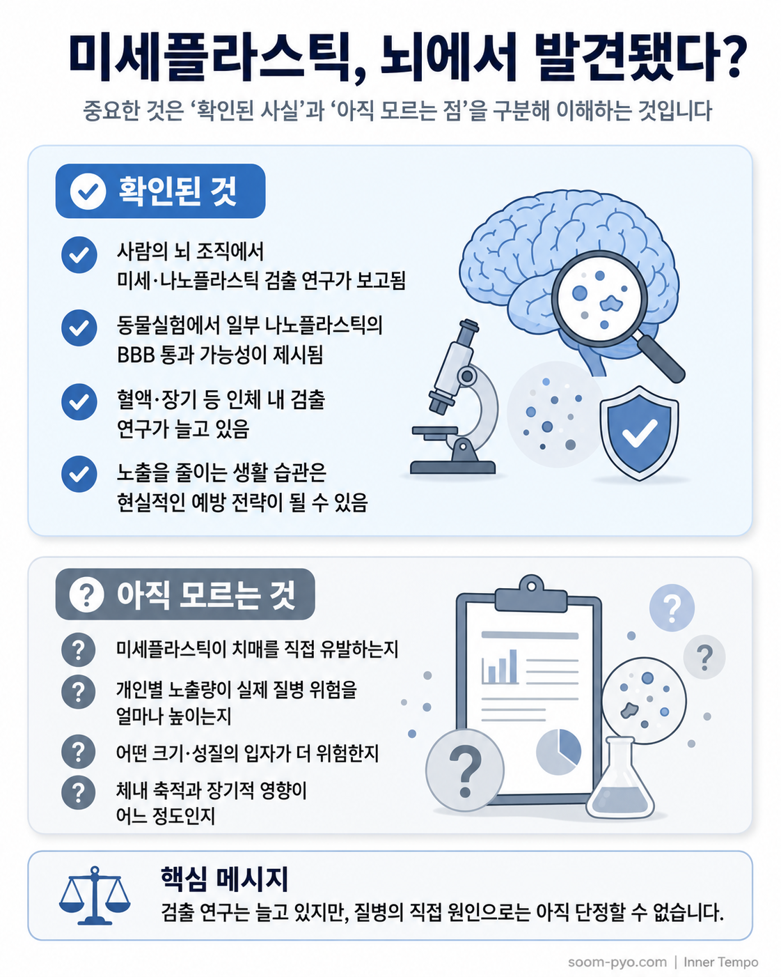 미세플라스틱, 뇌 연구와 미지의 질문