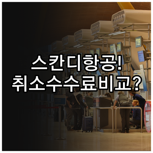 스칸디나비아항공 요금제별 취소 수수료..