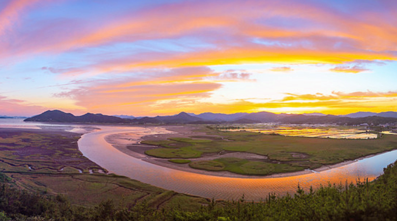 순천 순천만습지1