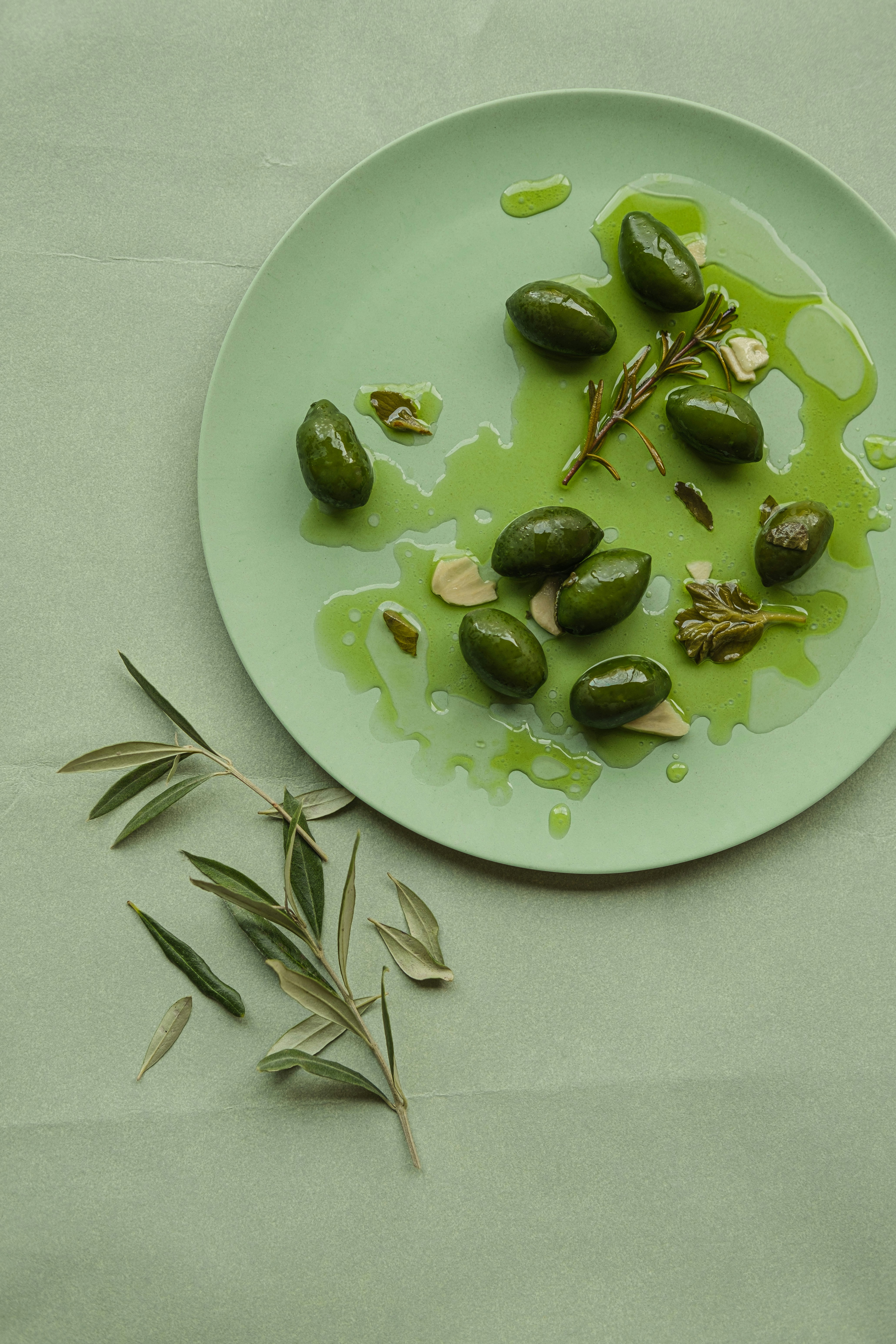 로즈마리 꽃말 및 키우는 법 (+ 오일 효능 번식 추출물 제품)